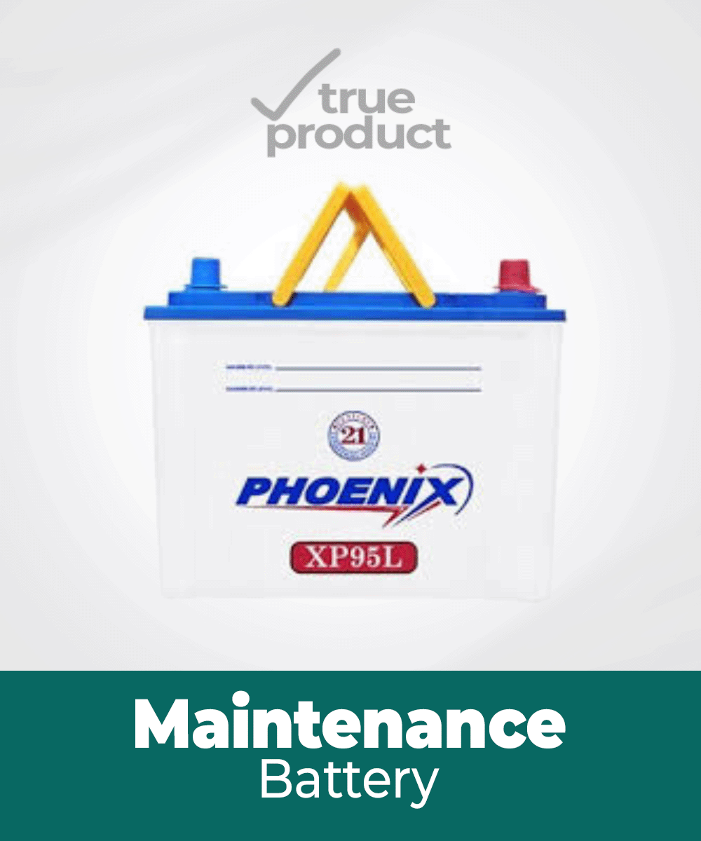 XP-95 l 15Plates l 75Ah