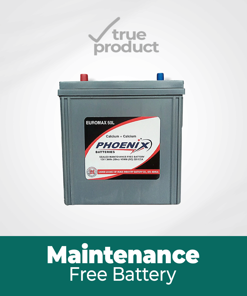 EURO-55 l 9Plates l 34Ah