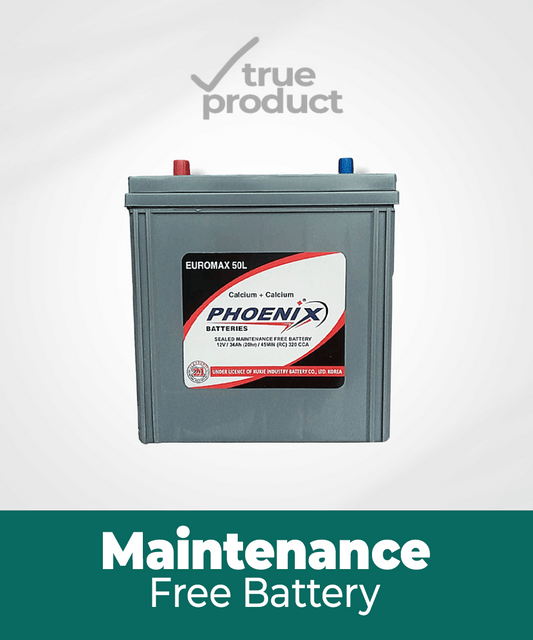 EURO-55 l 9Plates l 34Ah