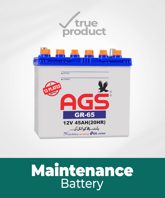 GL-65 l 13Plates l 45Ah