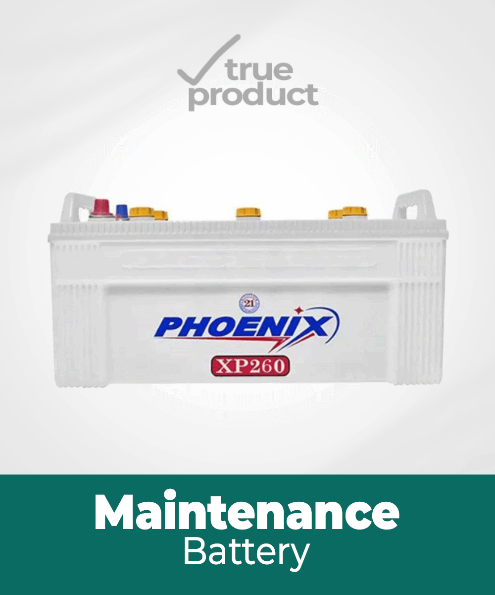 XP-260 l 23Plates l 190Ah