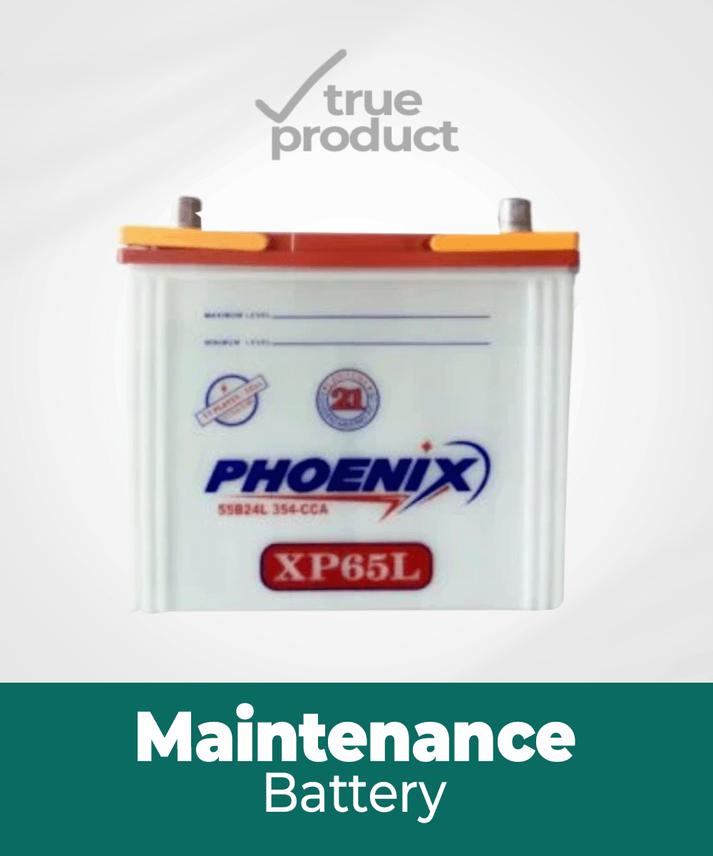 XP-60L l 11Plates l 40Ah