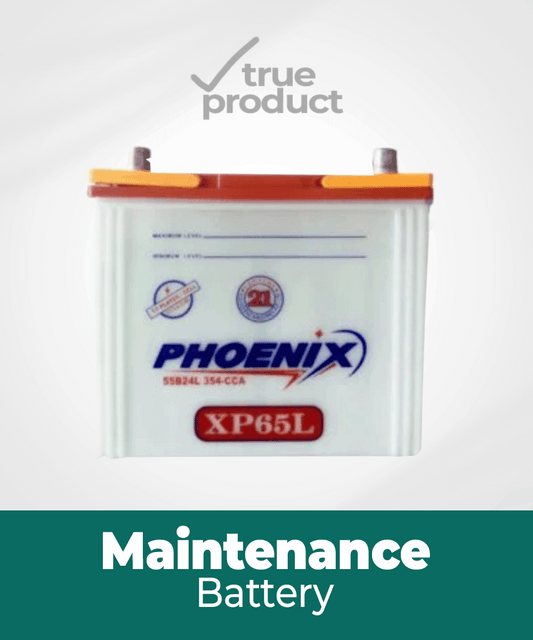 XP-60L l 11Plates l 40Ah